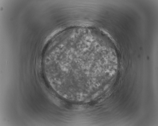 X0000081470679200702092340