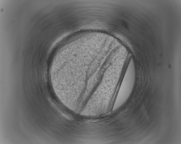 X0000081470680200702092340