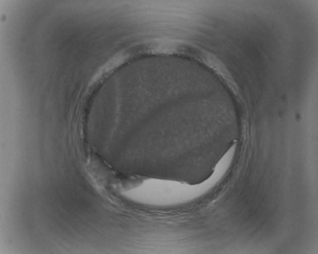 X0000081470681200702092340