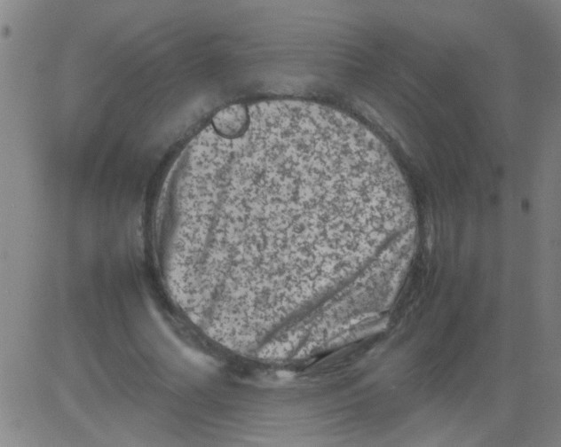 X0000081470682200702092340