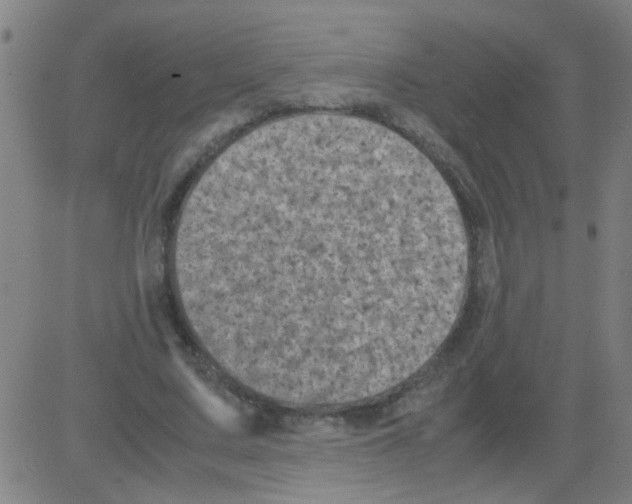 X0000081470683200702092340