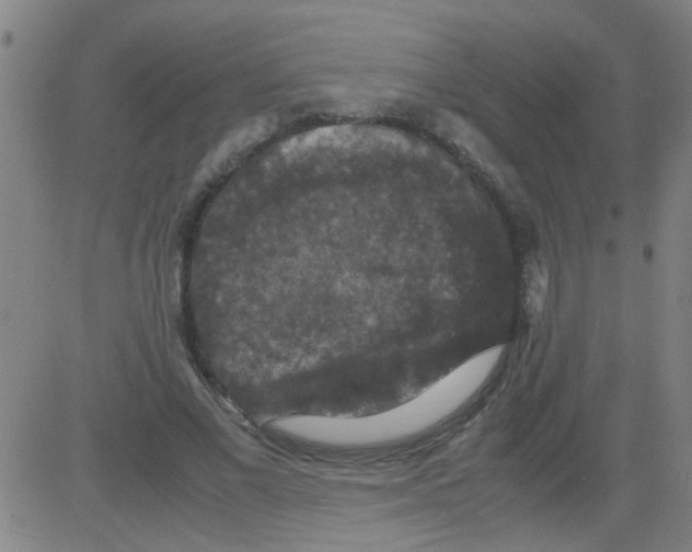 X0000081470685200702092340