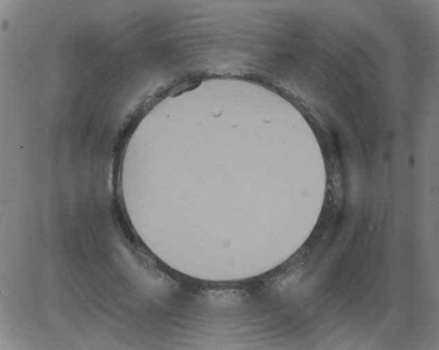 X0000081470686200702092340