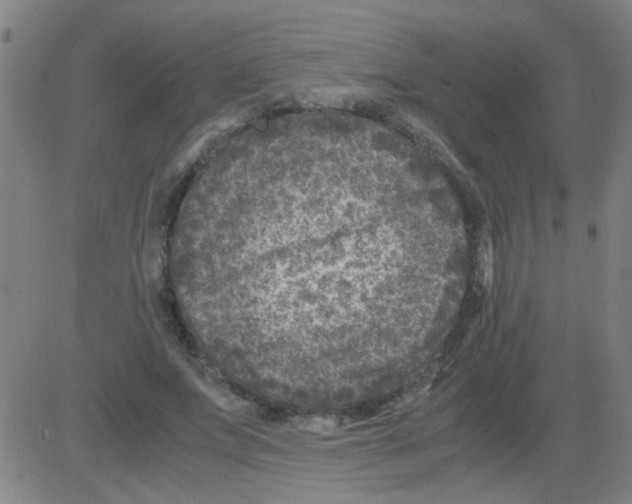 X0000081470687200702092340