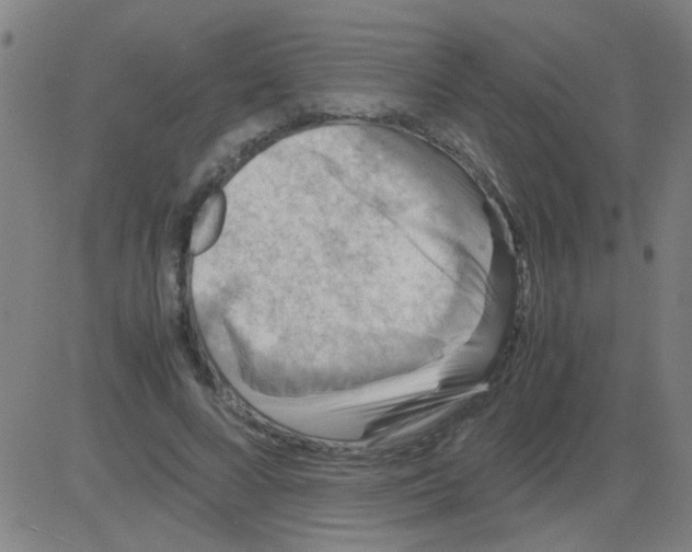 X0000081470688200702092340