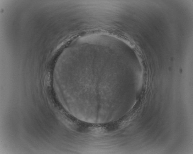 X0000081470689200702092340