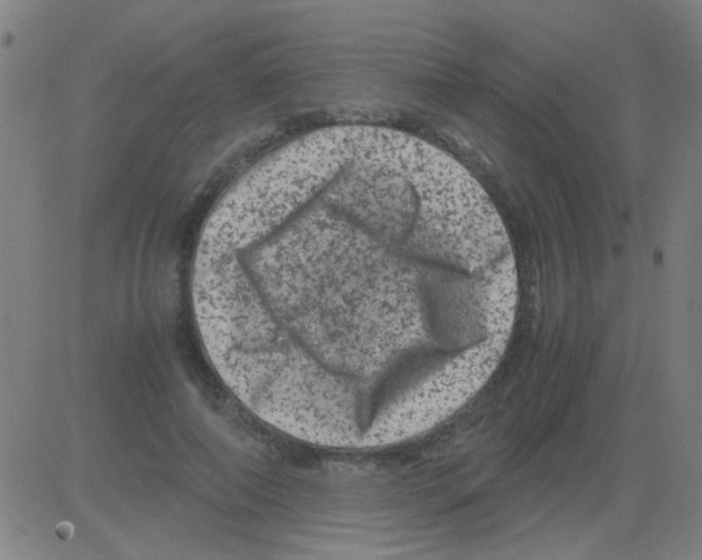 X0000081470690200702092340