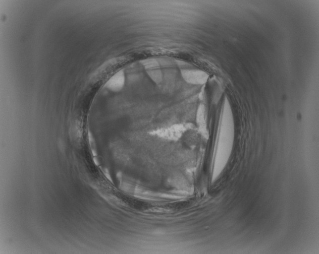 X0000081470691200702092340