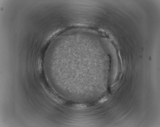 X0000081470692200702092340