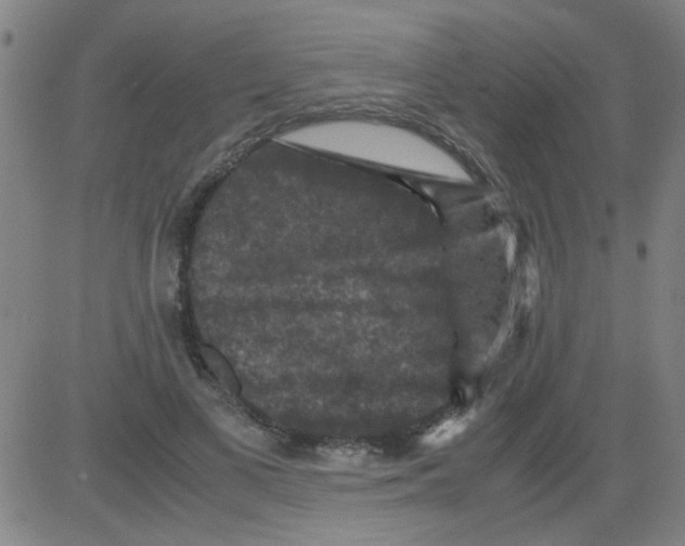 X0000081470693200702092340