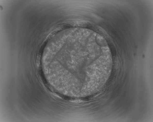 X0000081470695200702092340