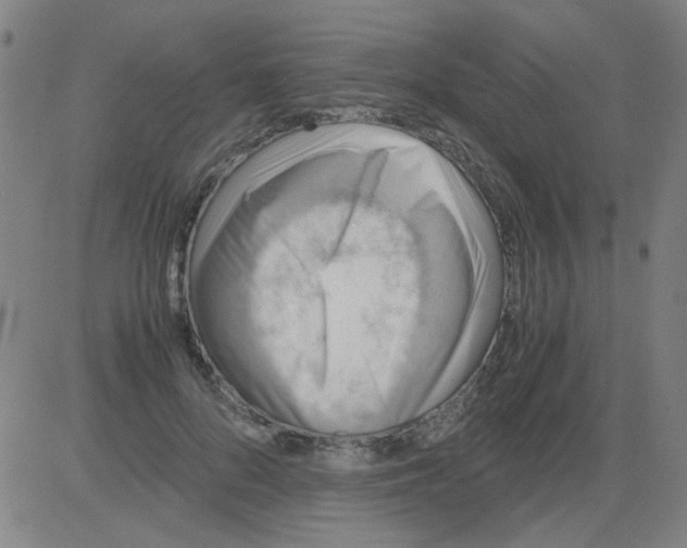 X0000081470696200702092340