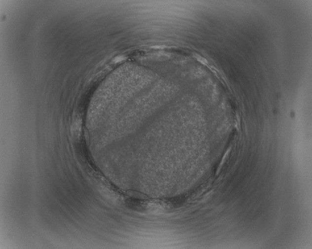 X0000081470697200702092340