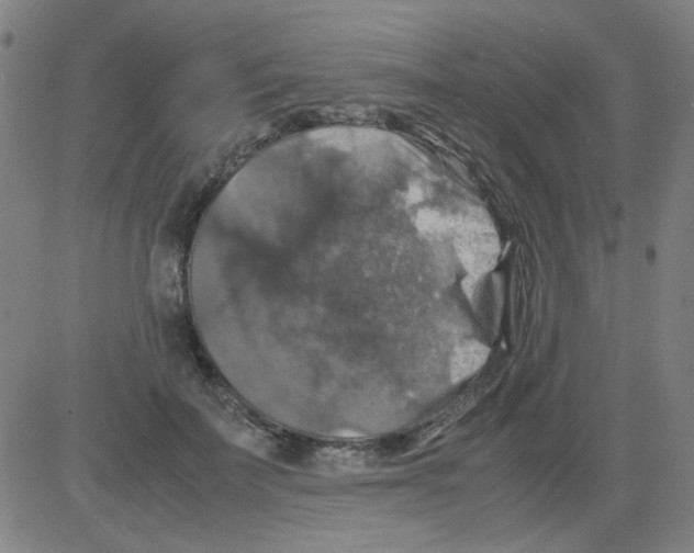 X0000081470699200702092340