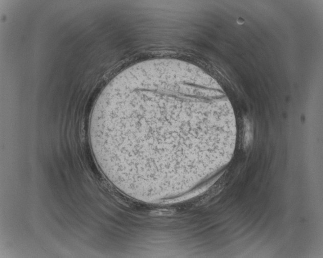 X0000081470700200702092340