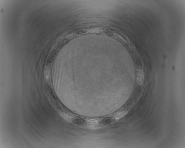 X0000081470701200702092340