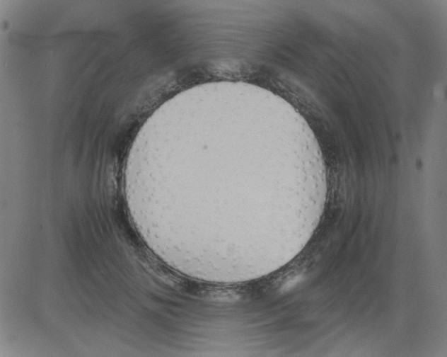 X0000081470702200702092340