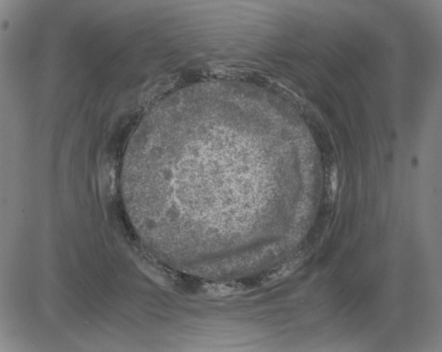 X0000081470703200702092340