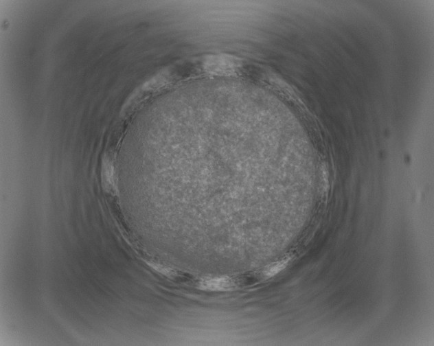 X0000081470705200702092340