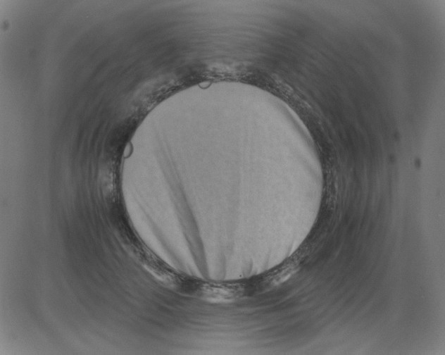 X0000081470706200702092340