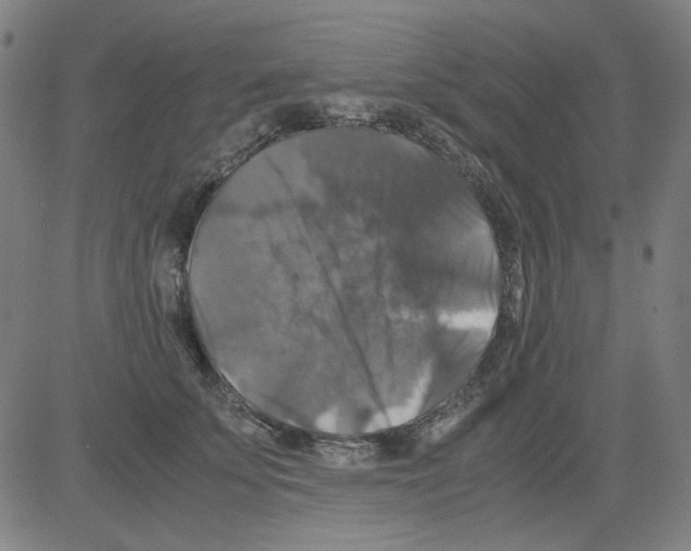 X0000081470707200702092340