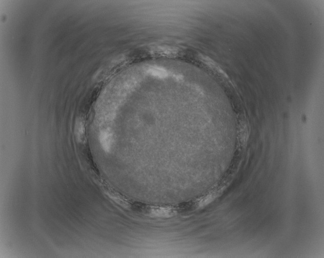 X0000081470709200702092340