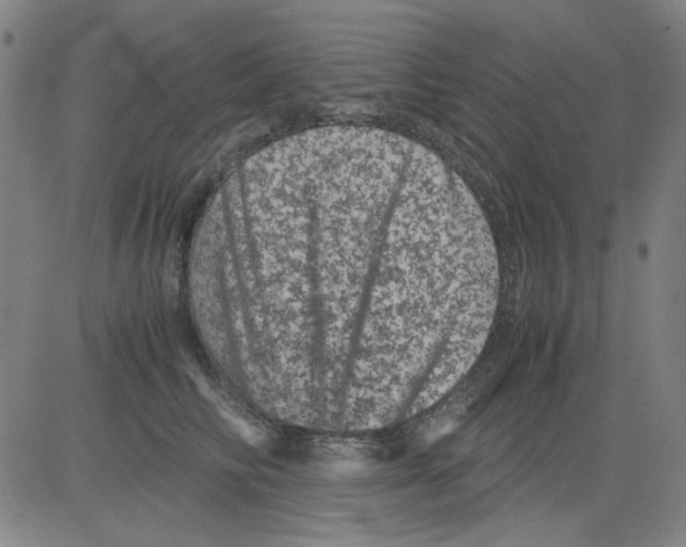 X0000081470710200702092340