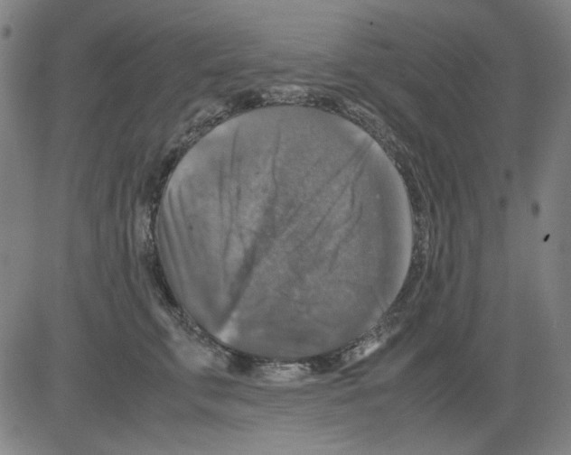 X0000081470711200702092340