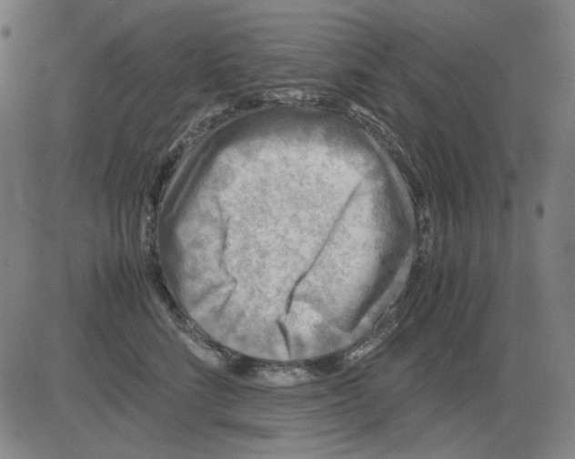 X0000081470712200702092340