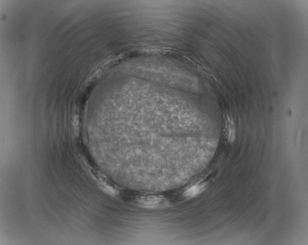 X0000081470716200702092340