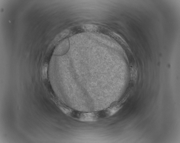 X0000081470717200702092340