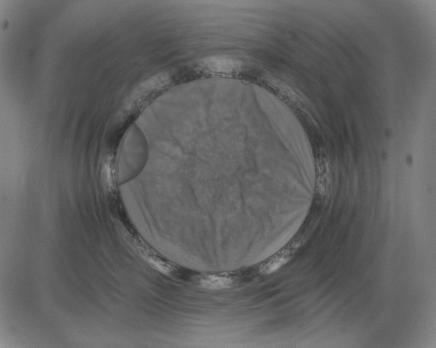 X0000081470718200702092340