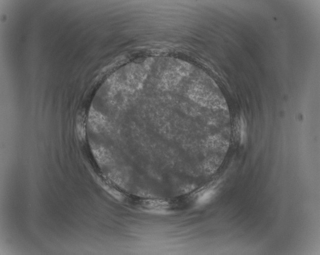 X0000081470719200702092340