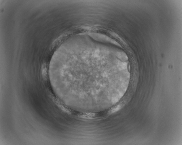 X0000081470720200702092340