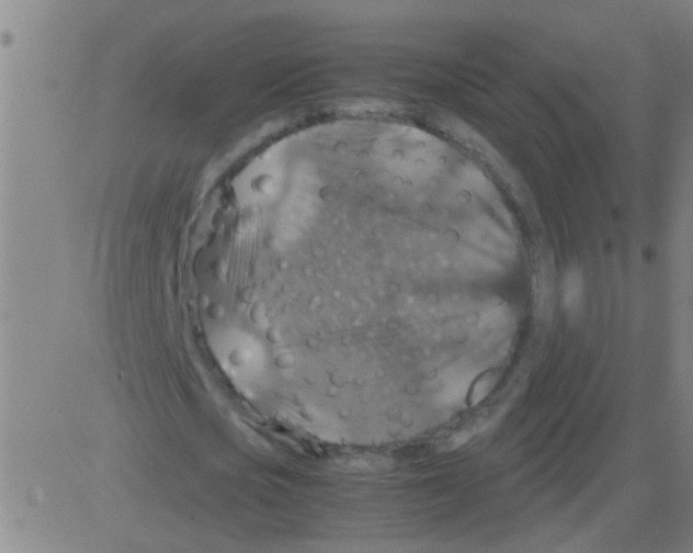 X0000081470721200702092339