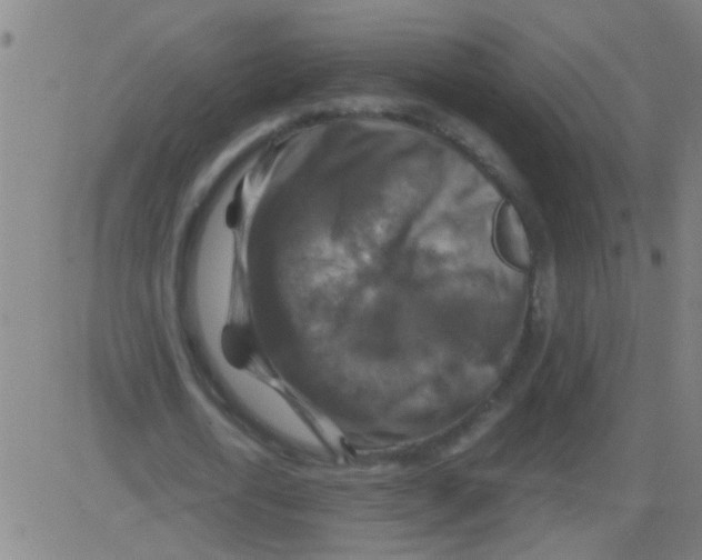 X0000081470722200702092339