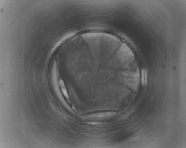 X0000081470723200702092339