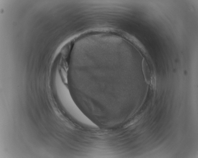 X0000081470724200702092339