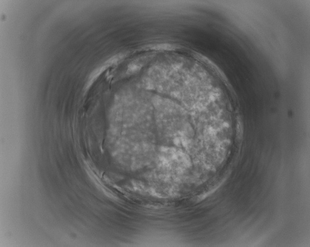 X0000081470725200702092339