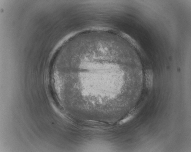 X0000081470726200702092339