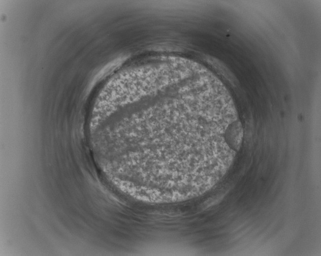 X0000081470727200702092339