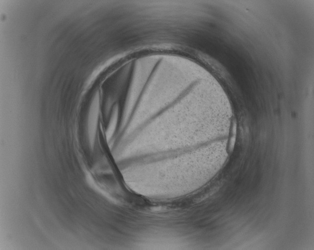 X0000081470728200702092339