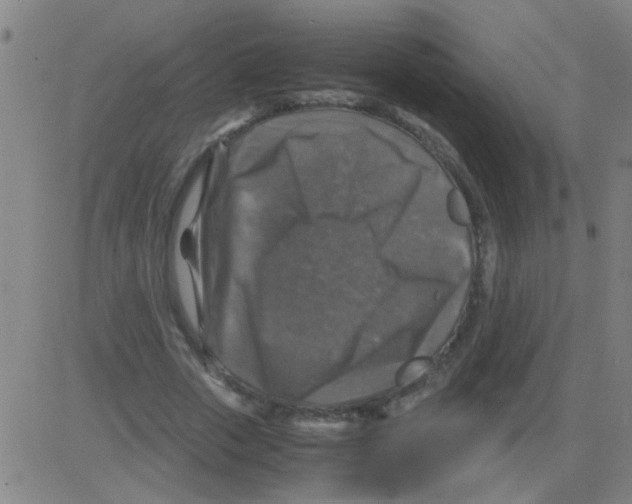 X0000081470729200702092339