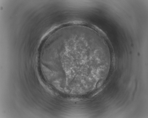 X0000081470730200702092339