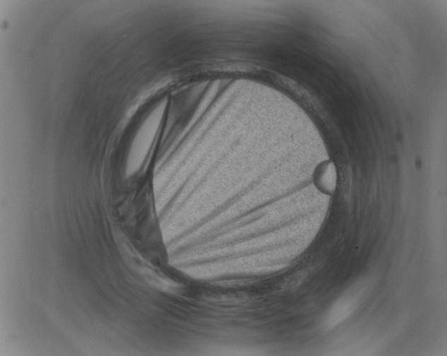 X0000081470731200702092339