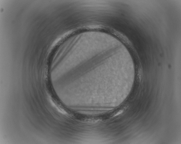 X0000081470732200702092339