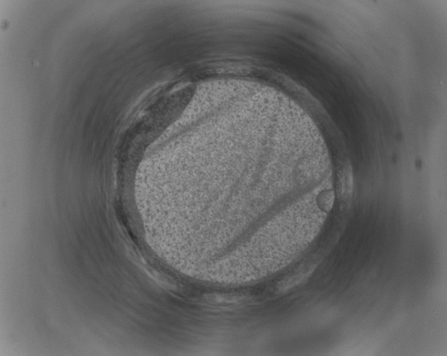 X0000081470733200702092339