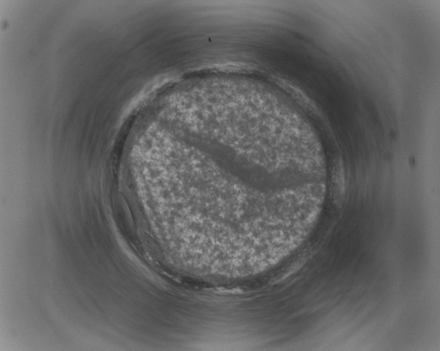 X0000081470734200702092339