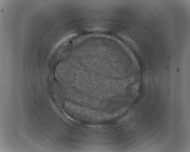 X0000081470735200702092339