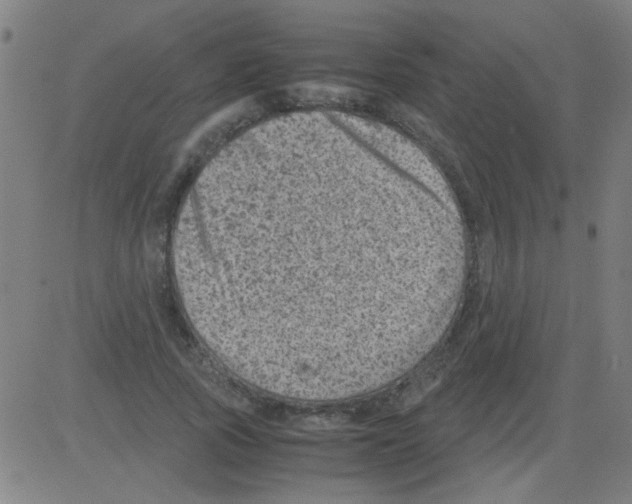 X0000081470737200702092339